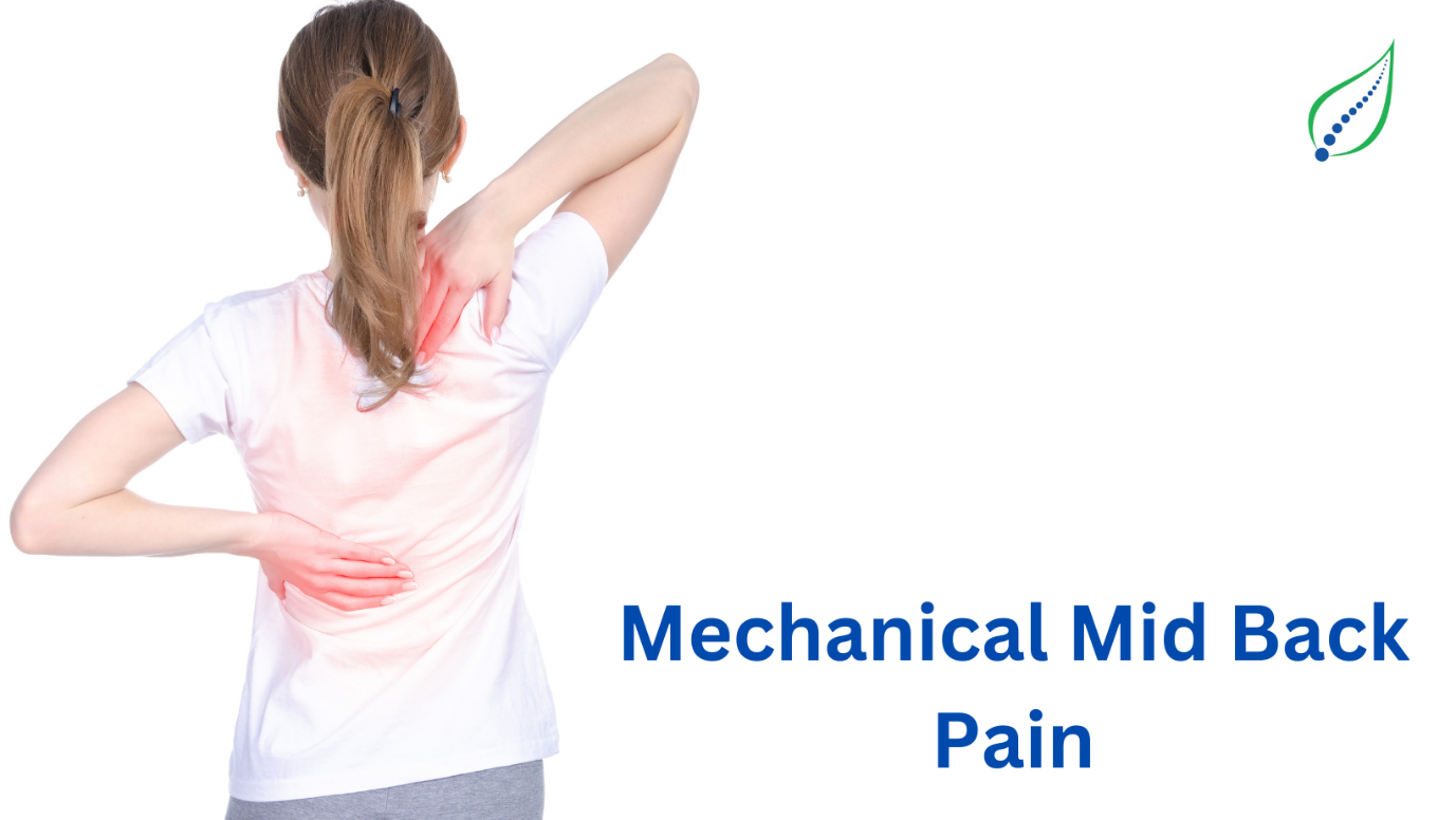 Mechanical Mid Back Pain